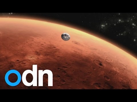 Is there life on Mars? NASA Curiosity finds signs of life