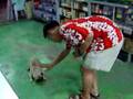 Pug video