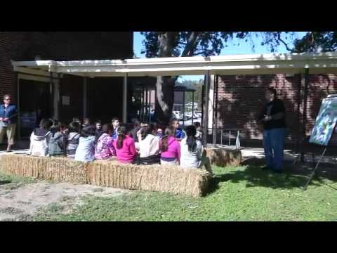 how to provide opportunities for learners