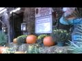 Billpg in the USA Part 3: River Street, Savannah, Georgia