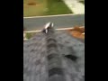 mike and joes rc car jump part two