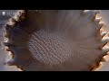 canyons,of,mars