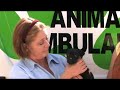 RSPCA - FocusTV RSPCA - FocusTV