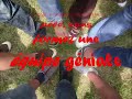 les meilleurs de lourdes