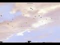 Entropia Universe01: Entropia Random Fun