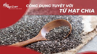 Công Dụng Của Hạt Chia- Tác Dụng Tuyệt