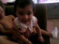 videos de baby's revenge