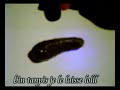 saw 6 New Teaser Trailer