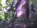 RELATO-DE-ZOOFILIA