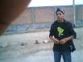 tareas - MATEO PUMACAHUA