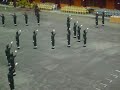 kawad kaki krs negeri johor(johan) sakti (formasi)