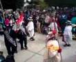 AQUIA 2007