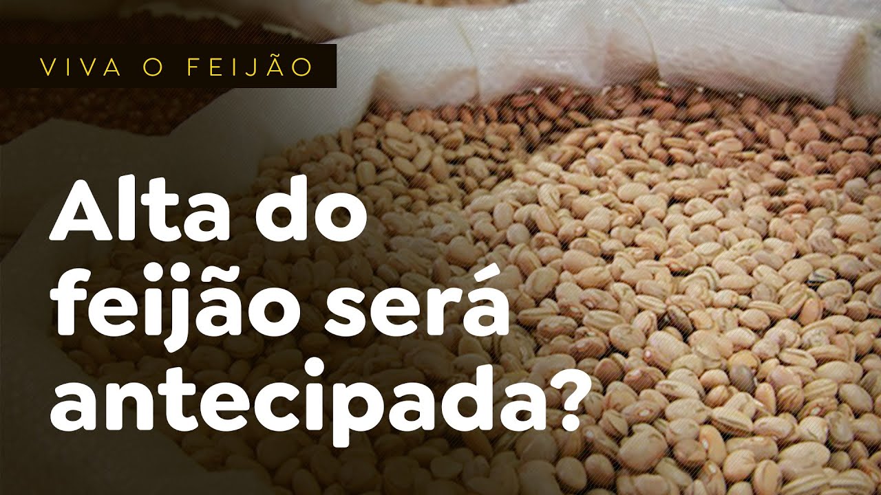 Alta do feijão será antecipada?