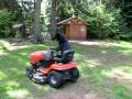 German Shepard Dog drives tractor