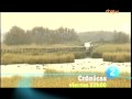 Crónicas - 