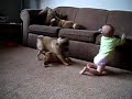 The Two Meanest Dogs Ever ....No Just Kidding