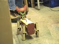 Robot Cat by Roger Starnes - 2 Robot Cat by Roger Starnes - 2