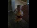 videos de Pooh & Fox