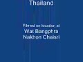wai kru at wat bang phra part1