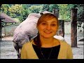 Scratch Patch Films Entry to Chromakey Software Contest