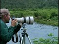 Kodiak Bear Book TV feature
