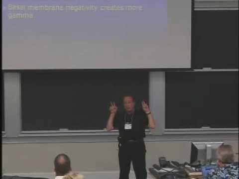 0 Consciousness: An Emergent Property Of Mind Brain Interaction