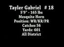 Tayler Gabriel WR - San Antonio US Army Combine Tayler Gabriel WR - San Antonio US Army Combine