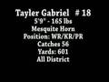 Tayler Gabriel WR - San Antonio US Army Combine