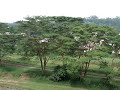 View of River, Railtrack, Trees, and Highrise Apartments