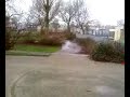 Vlinderbom Rokkeveen Vlinderbom Rokkeveen