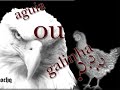 AGUIA OU GALINHA? reflex�o e motiva��o