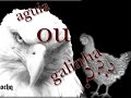 AGUIA OU GALINHA? reflexão e motivação