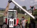 Barley, Harvest 2009