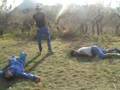 WWE Dalla Defenza (Cervaro)