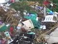 CONTAMINACION CONTAMINACION