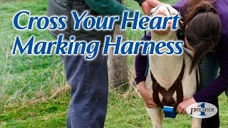 Cross Your Heart Marking Harness