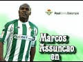 Marcos Assuncao 