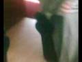 videos de chav emo and gangster