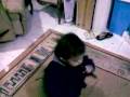 videos de El cantador 2a parte