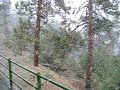 Nevando en San Pedro Martir..AVI