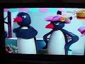 Angelino???????pingu????????