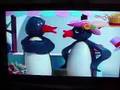 Angelinoアンジェリーノpinguのテレビをみる！