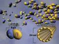 Microtubules