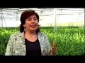 ¿Podemos cultivar sin tierra? ¿Podemos cultivar sin tierra?