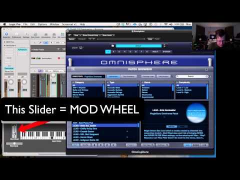 Intro to Omniverse Patches Video Tutorial