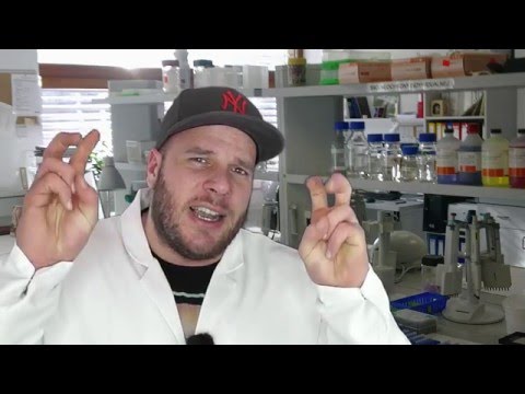 Was macht eigentlich Citrullin Malat?