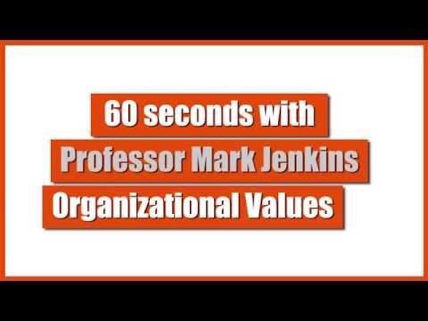 how to define organisational values