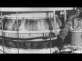 ITER - TOKAMAK: fusion history in a nutshell