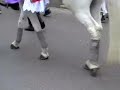 horses-horseshoeing-cytekhorseshoe-cytek
