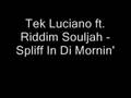 videos de Tek Luciano ft. Riddim Souljah - Spliff In Di Mornin'